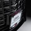 D.A.D Стильный держатель номерного знака Черный/Розовый HA688-01-02 DAD GARSON