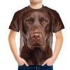Summer Round Neck Animal Pattern 3D Printed Top Fashionable Casual Short Sleeved Children's Boy T-shirts