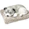 TATOTTE Realistic Plush Dog Figurine with a Cute Sleeping Face, Activated Charcoal Included, Soothing Decor (Husky)