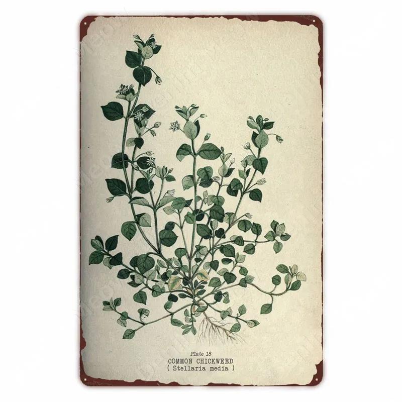 Ретро плакат с овощами и растениями, винтажный металлический жестяной знак с фруктами, настенная вывеска с цветной капустой, садовая кухонная ферма, цветы, тарелка, декор