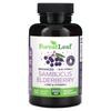 Advanced Sambucus Elderberry + Zinc & Vitamin C, 9,000Mg, 60 Veggie Caps (4,500Mg Per Capsule)