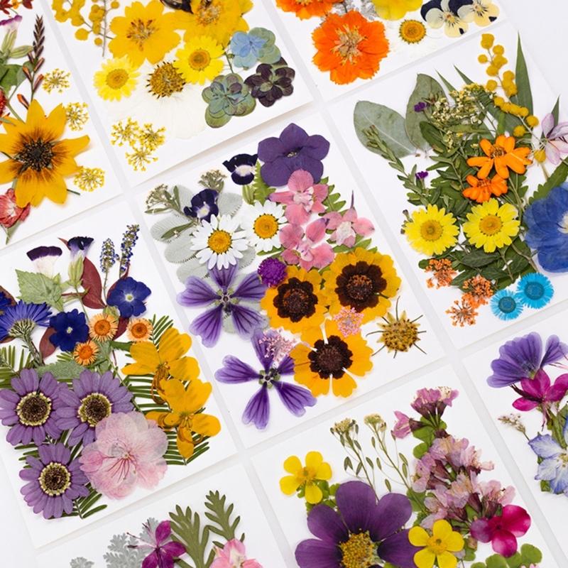 Dried Flower Leaf Kits for Epoxy Jewelry Molds Scrapbooking Supplies and Artistic Soap Making Phone Case Decoration