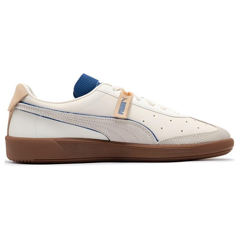 Puma Stenzel Pl Vlado Низкие кеды для скейтбординга Унисекс Кеды для скейтбординга Светло-голубые 386343-02