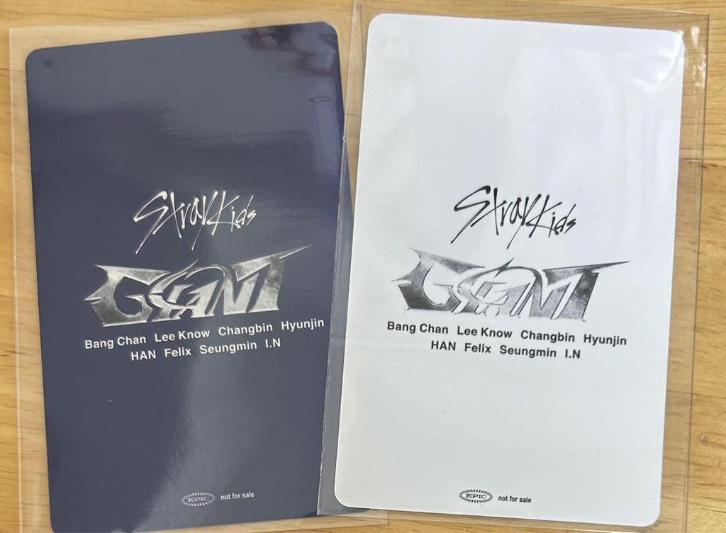 [USED] Stray Kids SKIZ IEN November 14th GIANT Trading Card