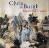 CD КРИС ДЕ БУР Beautiful Dreams 5404322 AM Records 1995 Европа Рок Б/у