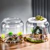 Plastic Round Fish Tank Unbreakable Desktop Turtle Tank Goldfish Bowl Office