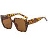 Retro personalized sunglasses women's new trendy Internet celebrities street photo styling glasses big face leopard print sunglasses