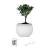 Modern Succulents Planter LED Color Changing Light Indoor Home Decoration J0MC