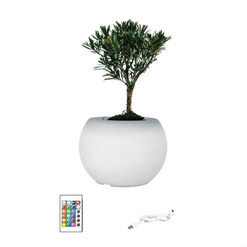 Modern Succulents Planter LED Color Changing Light Indoor Home Decoration J0MC