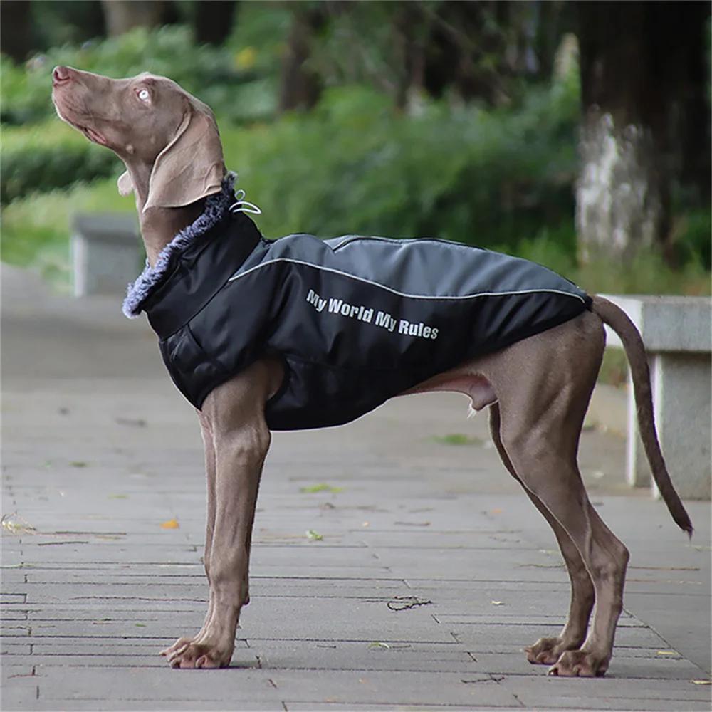 XL-6XL Теплая зимняя одежда для больших собак с меховым воротником, утолщенная куртка-пальто для домашних животных для средних и крупных собак, одежда для лабрадора, бордер-колли
