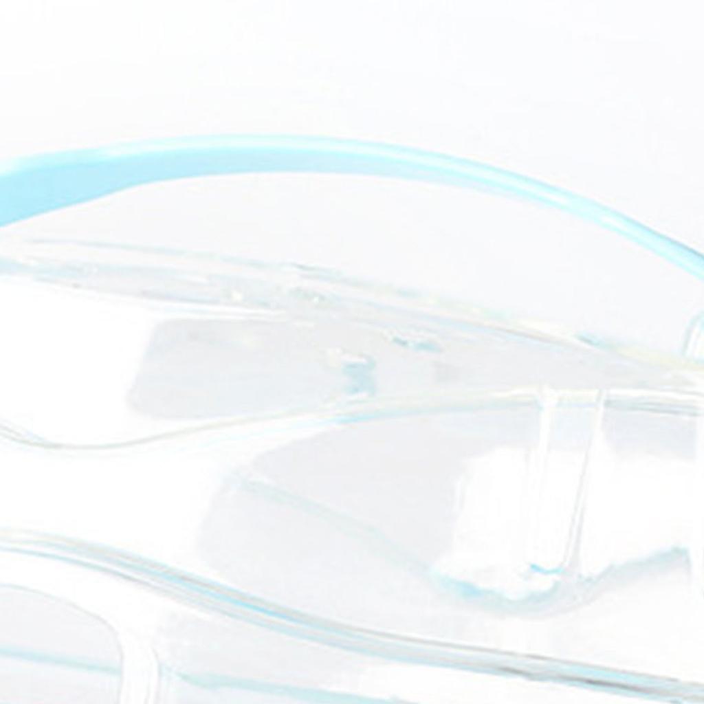 Hamster Carry Case Cage Portable Lightweight Small Animal Carry Case for Outdoor Travel Blue