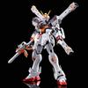 Bandai Spirits RG Crossbone Gundam X1 1/144 [титановая отделка]
