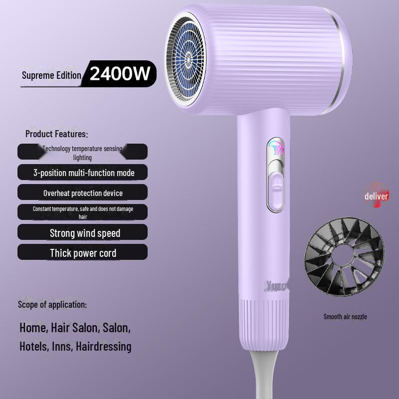 Высокоскоростной фен с синим светом и технологией отрицательных ионов - Без повреждений и мощный для домашнего и гостиничного использования