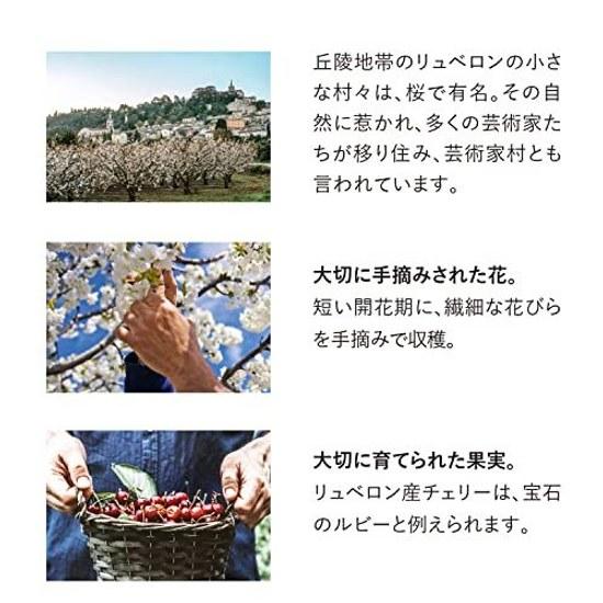 LOCCITANE Нежный крем для рук 'Цветок вишни' 30 мл Увлажняющий