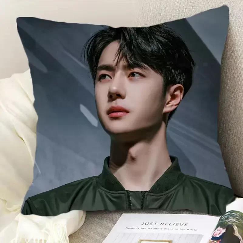 Ван Ибо Ибо Постер Двусторонняя наволочка с принтом Китайский фильм Рожденный летать Лей Ю Кадры из драмы Домашний декор для автомобиля Наволочка для подушки