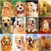 DIY алмазная живопись собака 5D полная квадратная круглая картина горный хрусталь вышивка крестиком мозаика Алмазное животное украшение