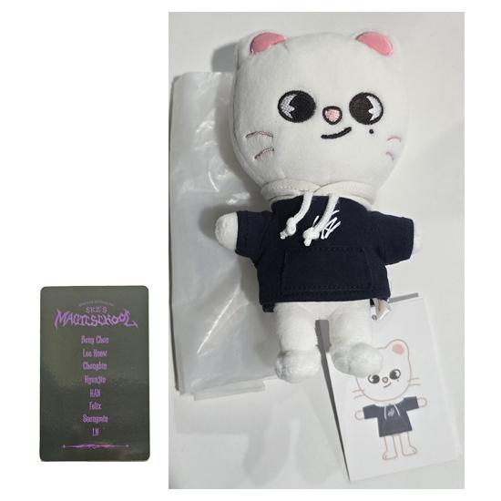 Stray Kids SKZOO Плюшевый МИНИ Версия (Школа Магии) со случайным POB