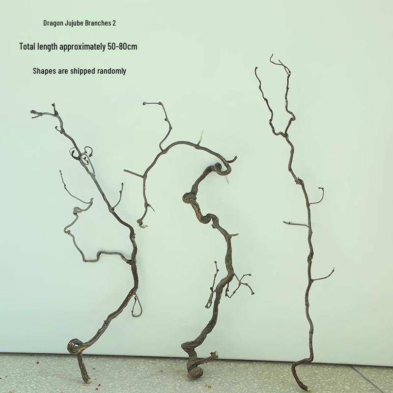 Изогнутые ветки зизифуса (ююбы) для ваби-саби икебаны и дзен-искусства