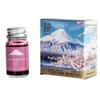 Тераниши Кагаку Гитара Fuji Ink Sakura Mt. [ФУДЗИЯМА ИРОДОРИ] [САКУРА] FUJ-12ML-T25