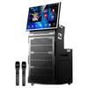 SAST WD-50 Professional KTV & Stage Portable Speaker System (CN version)
