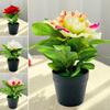 Artificial Potted Peony Flower Home Office Living Room Table Centerpiece Wedding Faux Floral Plants Bonsai Indoor Outdoor Desktop Decoration