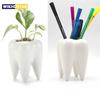 1Pcs Tooth Shaped Tabletop Ceramic Flowerpot Home Furnishings Cute Cactus Pot Flower Succulent Plant Nursery Basin Table Va L5L0