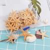 Sea Shells Epoxy Resin Conch Crafts Fish Tank Decoration Aquarium Supplies Starfish Resin Casting