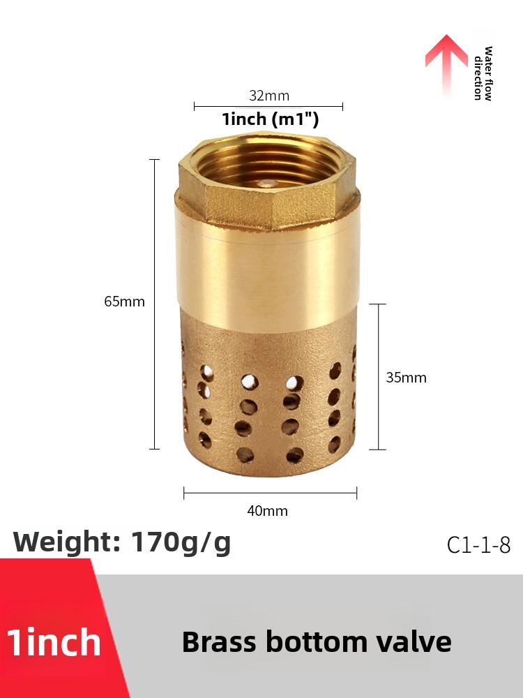 Медный кран Обратный клапан Вход самовсасывающего насоса с фильтром Защита от обратного потока Пружинные односторонние клапаны Вставка Шланг
