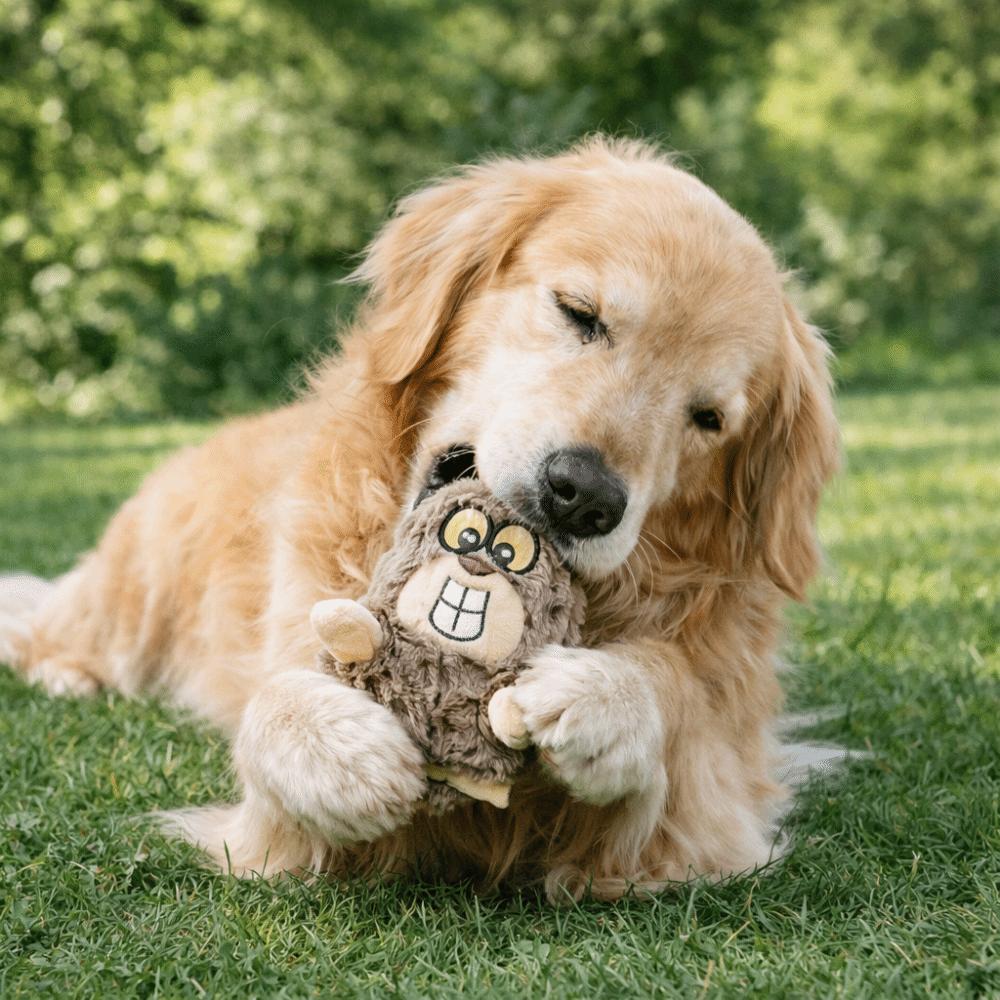 Cute Bite Resistant Dog Chew Cartoon Stuffed Animal Dog Molar Wear Resistant Squeaky Dog Aggressive Chewers