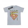 Mens Superman Shield T-Shirt