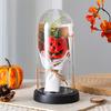 Pumpkin Dome Light LED Clear Cloche Pumpkin Night Light for Halloween Home Kitchen Tabletop Mantel Garden Poolside Decor