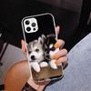 Siberian Husky Dog Phone Case For iPhone 17 Air 16 Pro Max 16E 15 + 14 Plus 11 12 13 Mini 7 8 SE Gift Print Cover Fundas 17 Air