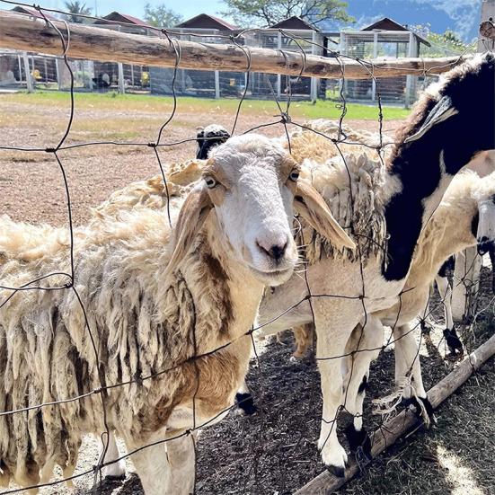 100 шт. Проволочные стяжки для сетки-рабицы из нержавеющей стали, сверхпрочные, для столбов и направляющих сетки-рабицы, для ремонта собачьего вольера, антикоррозийные стяжки для забора