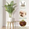 Solid Wood High-Leg Display Shelf for Living Room: Creative Plant Stand and Flower Pot Base