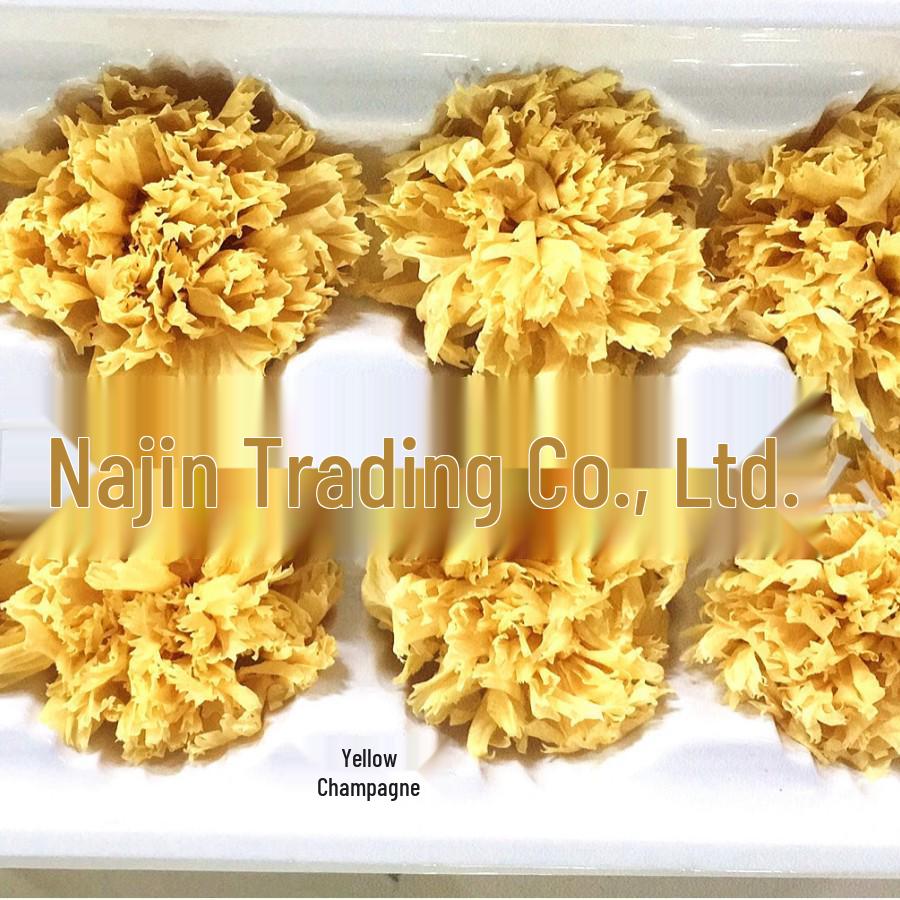 Preserved Yunnan Carnation Flowers – Perfect Mother’s Day and Birthday Gift