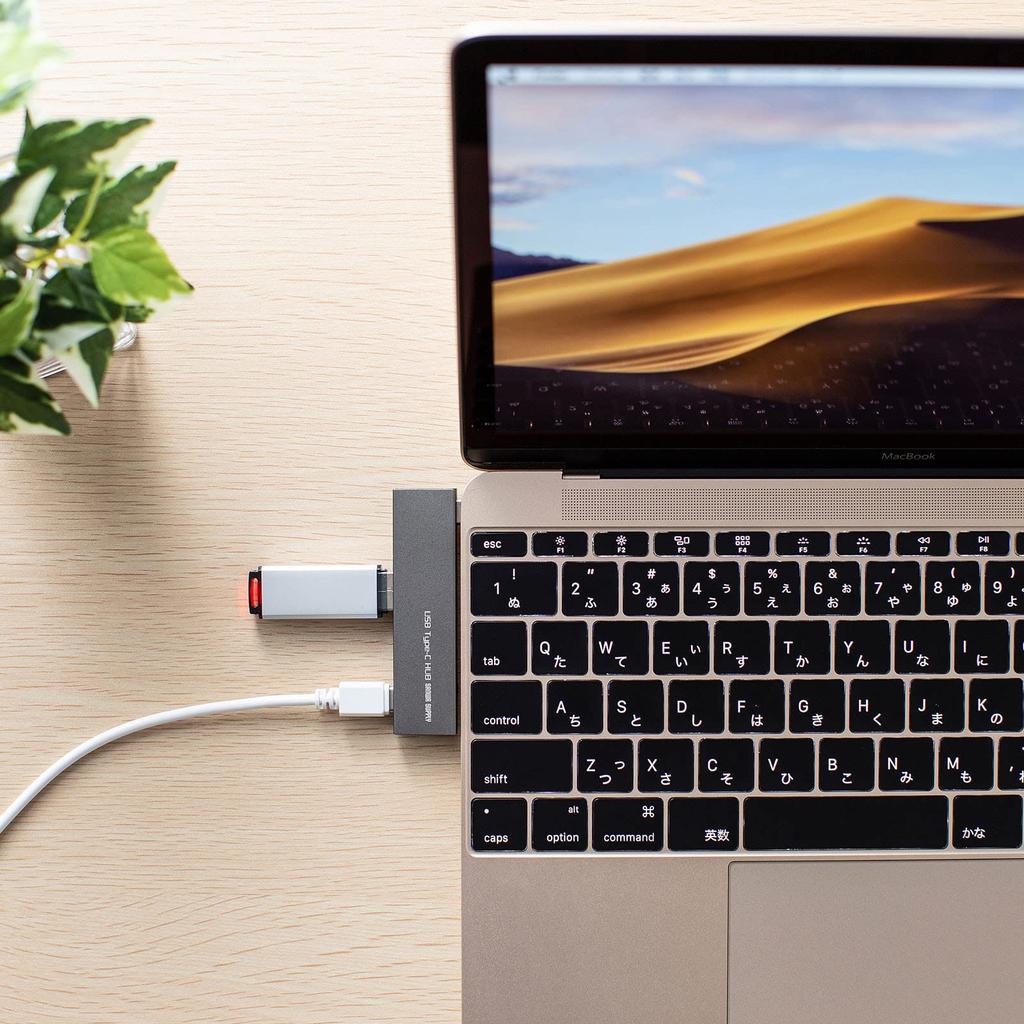 Sanwa Supply USB-хаб тонкий Серебристый Type-C 3 порта USB-3TCH22SN