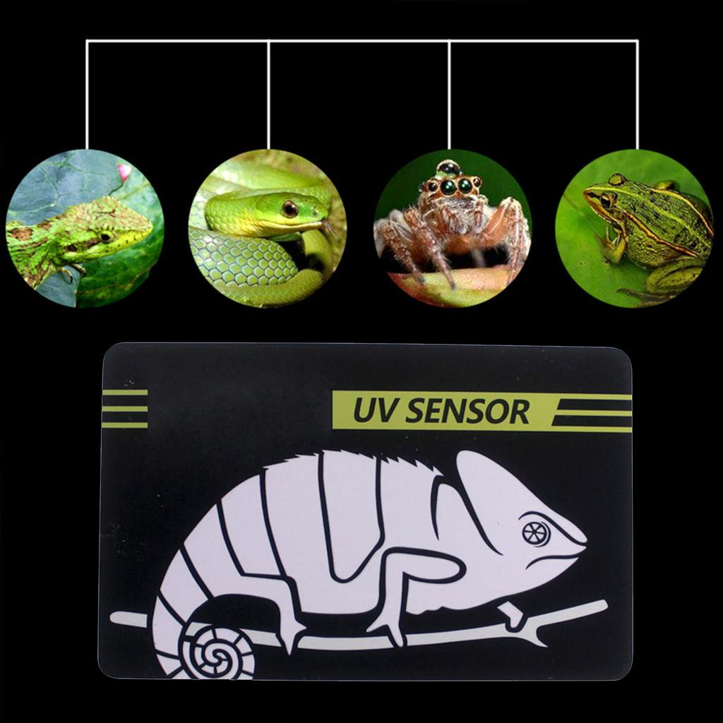 Reptile UVB Light Lamp Bulb Test Card UV Tests Paper Reptiles Terrarium Lamp Life Effective Tester Meter