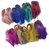 20PCS Natural Colorful Small Ringneck Pheasant Feathers for Crafts 3-7cm Earrings Jewelry Creation Carnaval Assesoires Plumes
