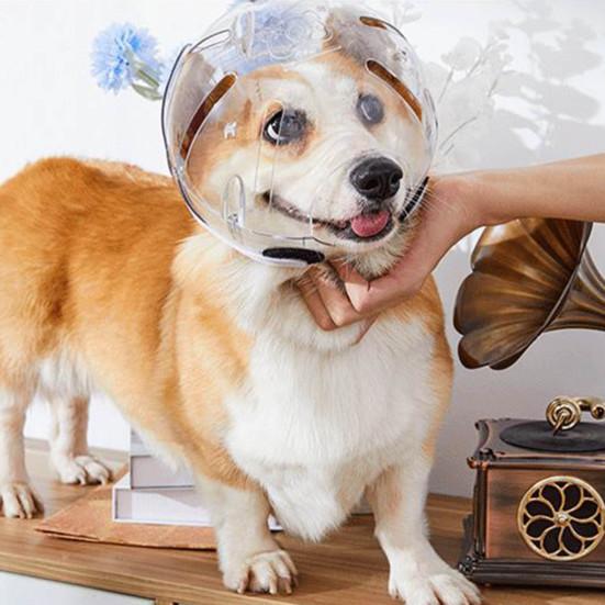 Yousheng Pet Hood Anti-bite Breathable Adjustable Cat Muzzle Comfortable Transparent Cats Dogs Helmet Pet Supplies