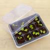 With Cover Portable Nursery Box Set Breathable Plant Seedling Tray Germination Box Greenhouse