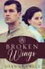 Книга Broken Wings