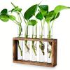3/5 Test Test Tube Vases Transparent Glass Glass Planter Hydroponic Plants Container  Weddings