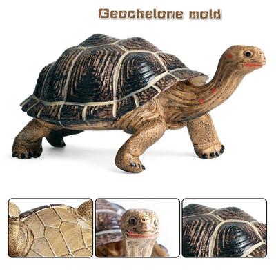 Моделирование Geochelone Модель Geochelone Черепаха Биологическая модель Игрушки Пластиковые украшения