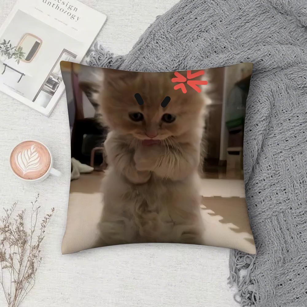 Чехол на подушку с смешным мемом про кота, квадратный, двусторонний принт, короткий плюш, чехол на диванную подушку, для спальни, прикроватной тумбочки
