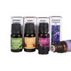 10ml Fragrance Oil Long Lasting Water Soluble Plant Extract Flower Natural Aromas Essential Oil for Diffuser
