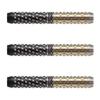 Dynasty ASTRA DARTS TRIPLEIGHT Coating Type DRAGOON2 2BA Ryuki Morikubo Player Model