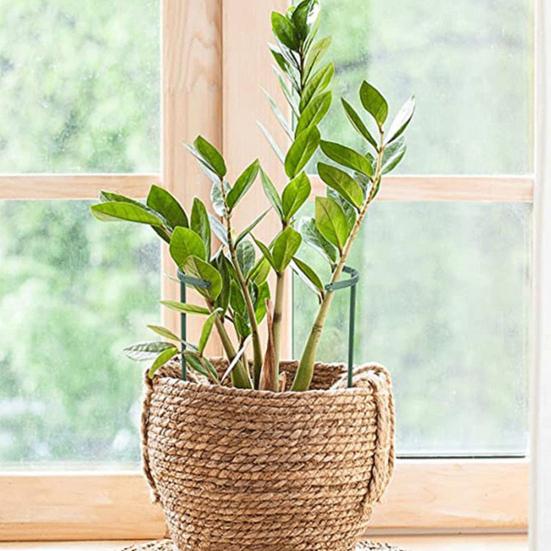 6 шт. полукруглая опора для растений, устойчивая к атмосферным воздействиям пластиковая посадка томатов, опорное кольцо для цветов для сада