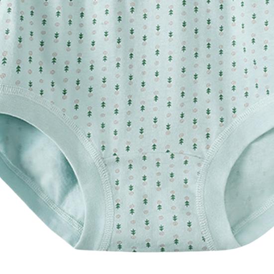 Women's Cotton Underwear High Waisted Granny Panties Soft Full Coverage Briefs for Middle-Aged And Elderly Women