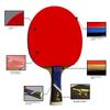 Oem Pisces Professional Table Tennis Racket For Eight Star 9 Star 7 8 Star 8a Single Racket Student 5a High Performance 200g