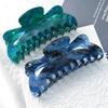 Large Hair Claw Clips for Girls and Women  Korean Fashion 13cm Long Hair Crabs Headewear Blue  Green Hair Clips